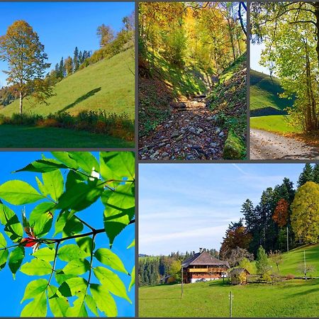 Апартаменты Emmental Ferien Лангнау Экстерьер фото