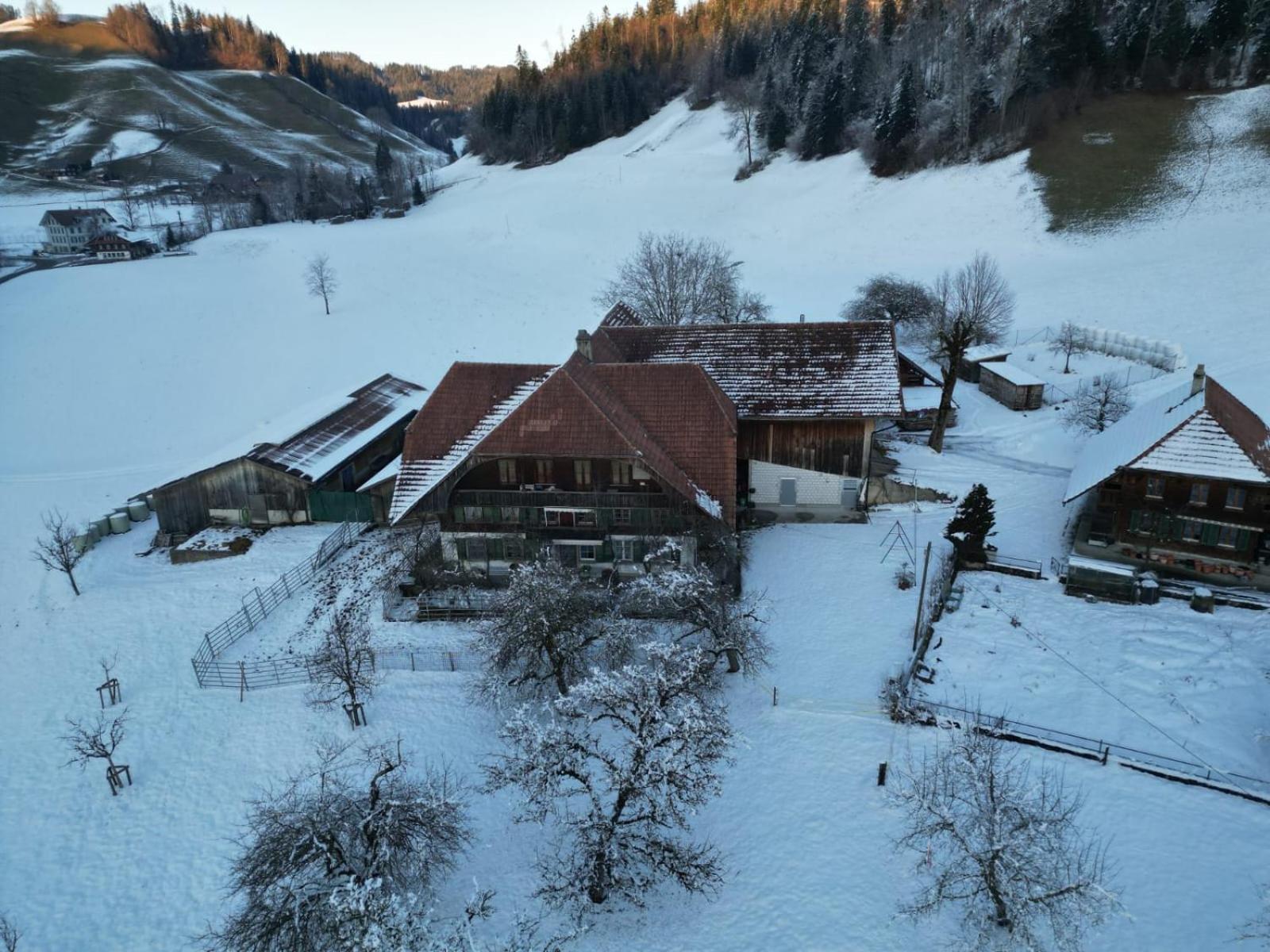 Апартаменты Emmental Ferien Лангнау Экстерьер фото
