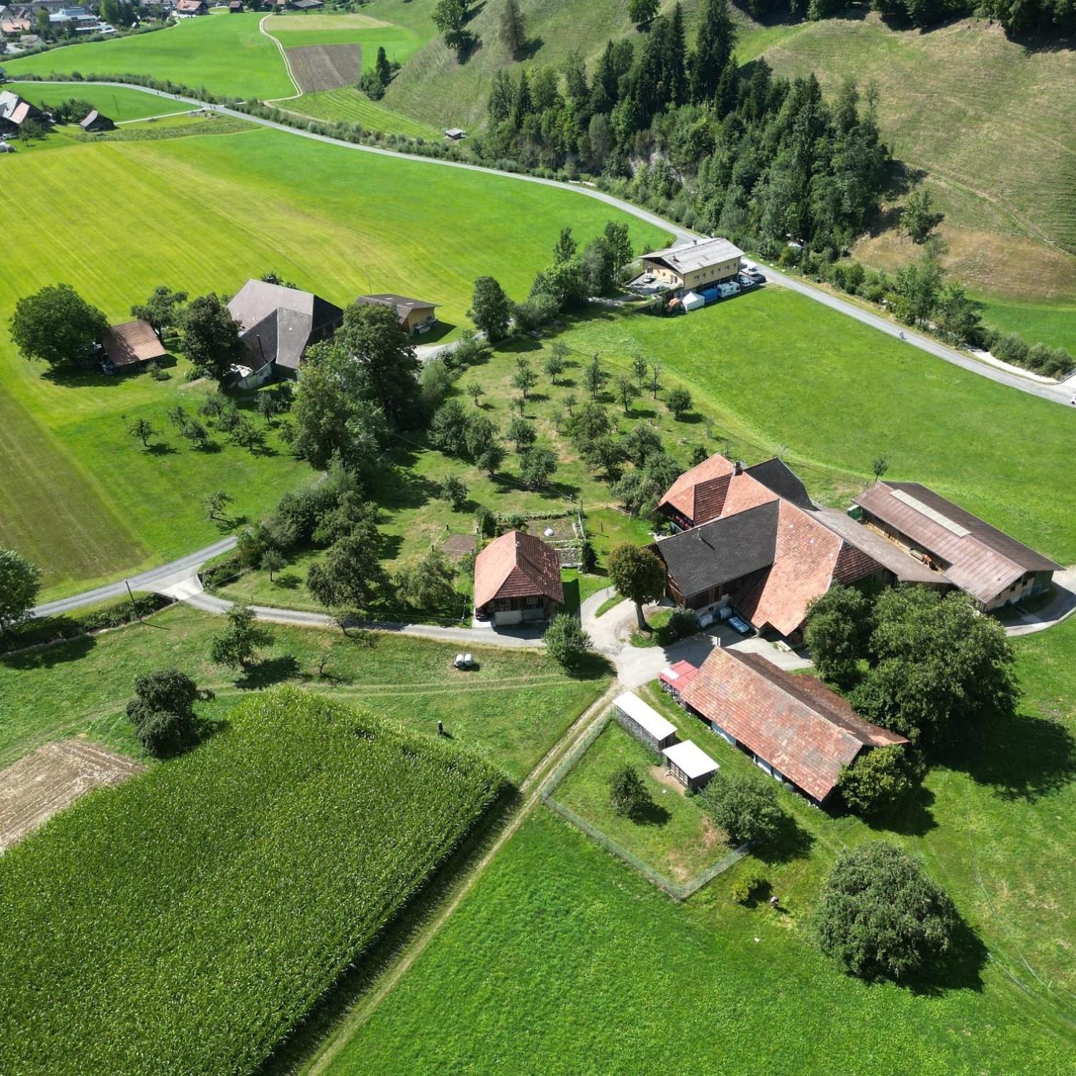 Апартаменты Emmental Ferien Лангнау Экстерьер фото