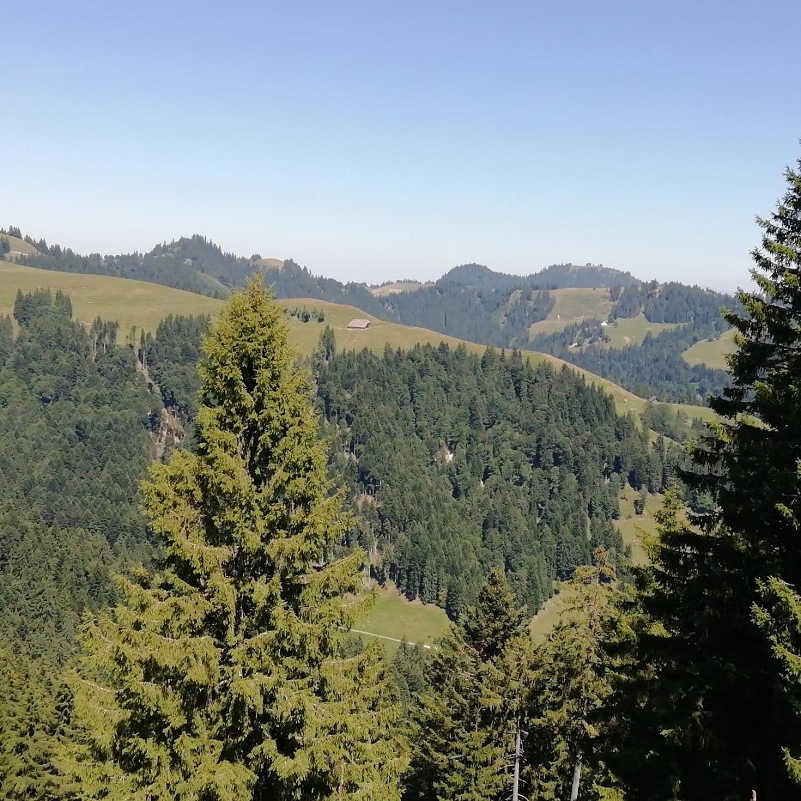 Апартаменты Emmental Ferien Лангнау Экстерьер фото