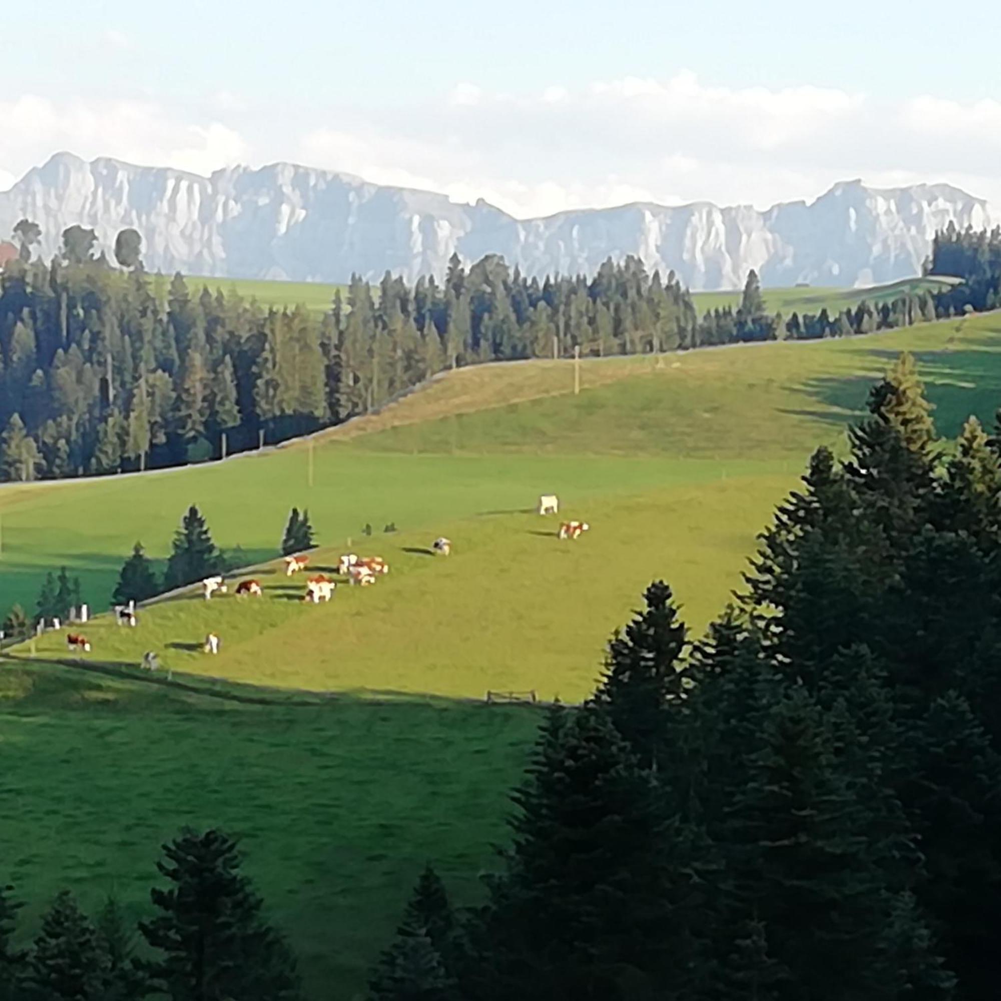 Апартаменты Emmental Ferien Лангнау Экстерьер фото