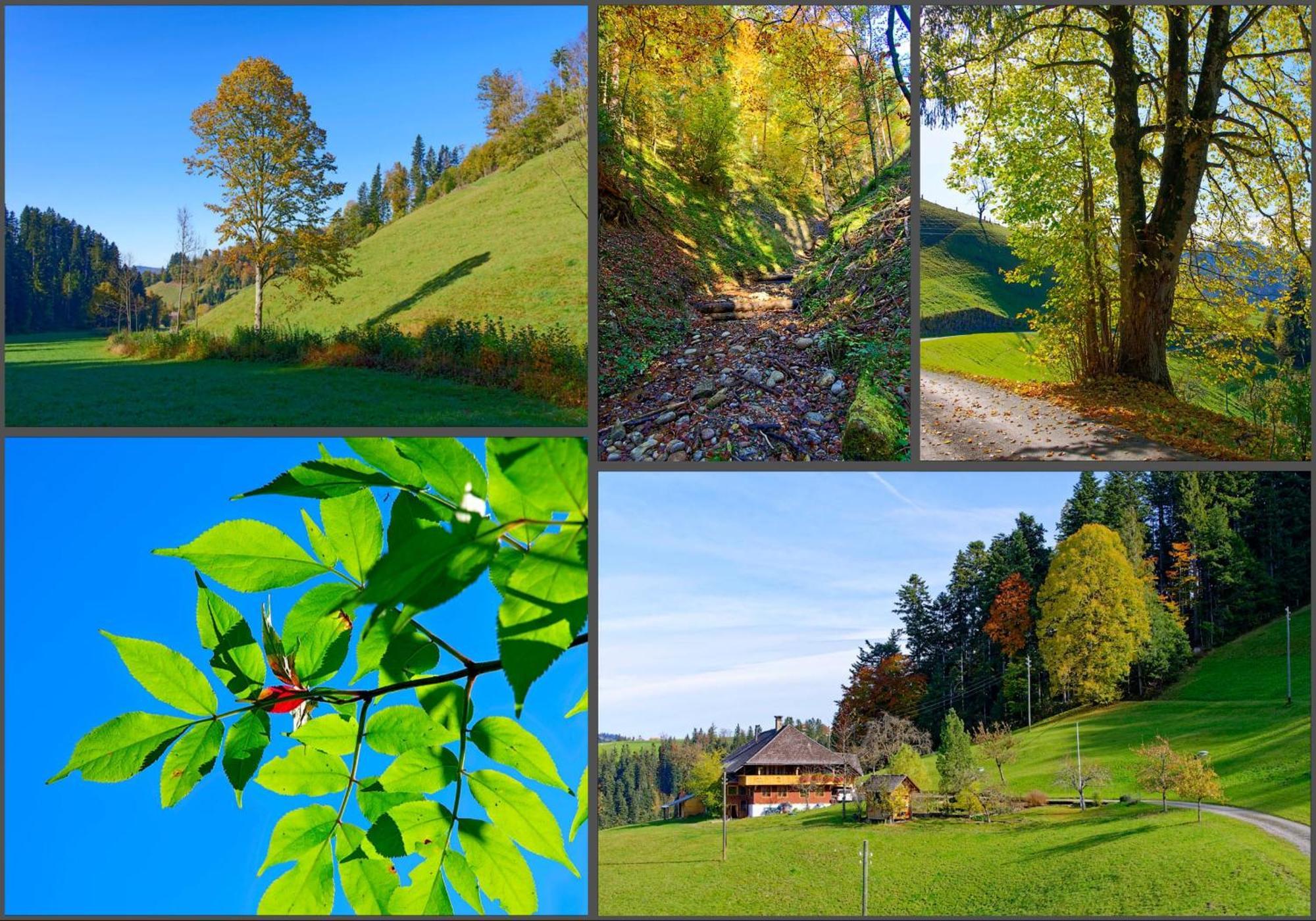 Апартаменты Emmental Ferien Лангнау Экстерьер фото