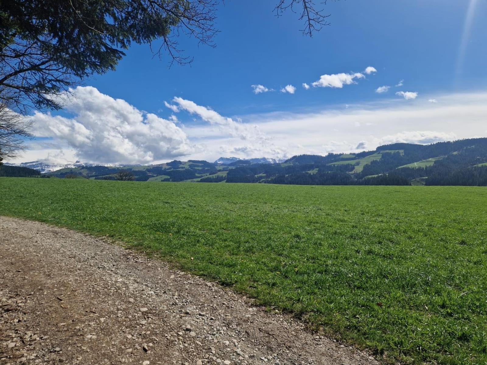 Апартаменты Emmental Ferien Лангнау Экстерьер фото